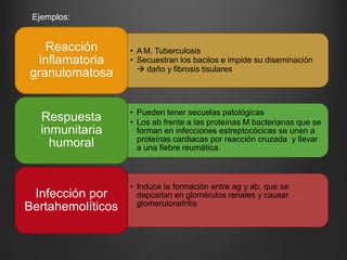 • A M. Tuberculosis
• Secuestran los bacilos e impide su diseminación
 daño y fibrosis tisulares
Reacción
inflamatoria
granulomatosa
• Pueden tener secuelas patológicas
• Los ab frente a las proteínas M bacterianas que se
forman en infecciones estreptocócicas se unen a
proteínas cardiacas por reacción cruzada y llevar
a una fiebre reumática.
Respuesta
inmunitaria
humoral
• Induce la formación entre ag y ab, que se
depositan en glomérulos renales y causar
glomerulonefritis
Infección por
Bertahemolíticos
Ejemplos:
 