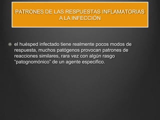 PATRONES DE LAS RESPUESTAS INFLAMATORIAS
A LA INFECCIÓN
el huésped infectado tiene realmente pocos modos de
respuesta, muchos patógenos provocan patrones de
reacciones similares, rara vez con algún rasgo
“patognomónico” de un agente especifico.
 