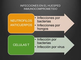 INFECCIONES EN EL HUESPED
INMUNOCOMPROMETIDO
• Infecciones por
bacterias
• Infecciones por
hongos
NEUTROFILOS
ANTICUERPOS
• Infección por
bacterias
• Infección por virus
CELULAS T
 