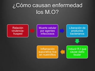 ¿Cómo causan enfermedad
los M.O?
Relación
virulencia-
husped
Muerte celular
por agentes
infecciosos
Liberación de
productos
bacterianos
Inducir R.I que
cause daño
tisular
Inflamación
supurativa rica
en nuetrófilos
 