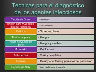Técnicas para el diagnóstico
de los agentes infecciosos
• Bacterias
Tinción de Gram
• Miobacterias
Tinción para M.O acido-
alcohol resistente
• Todas las clases
Cultivos
• Hongos
Tinción de plata
• Hongos y amebas
Acido peryódico de
Schiff
• Criptococos
Musicarím
• Virus y rickettsias
Anticuerpos
• Campylobacterias y parásitos del paludismo
Giemsa
• Virus bacterias y protozoos
Sondas de ADN
 