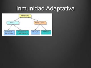 Inmunidad Adaptativa
 