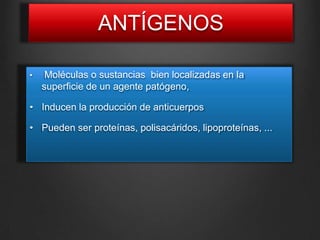 ANTÍGENOS
• Moléculas o sustancias bien localizadas en la
superficie de un agente patógeno,
• Inducen la producción de anticuerpos
• Pueden ser proteínas, polisacáridos, lipoproteínas, ...
 