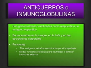 ANTICUERPOS o
INMUNOGLOBULINAS
 
