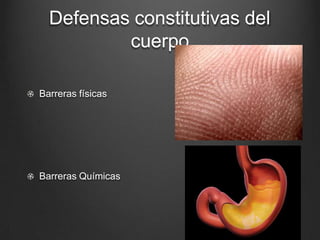 Defensas constitutivas del
cuerpo
Barreras físicas
Barreras Químicas
 
