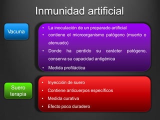Inmunidad artificial
Vacuna
• La inoculación de un preparado artificial
• contiene el microorganismo patógeno (muerto o
atenuado)
• Donde ha perdido su carácter patógeno,
conserva su capacidad antigénica
• Medida profiláctica
Suero
terapia
• Inyección de suero
• Contiene anticuerpos específicos
• Medida curativa
• Efecto poco duradero
 