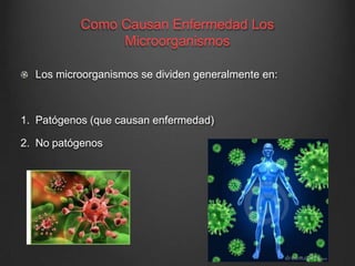 Como Causan Enfermedad Los
Microorganismos
Los microorganismos se dividen generalmente en:
1. Patógenos (que causan enfermedad)
2. No patógenos
 