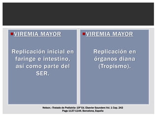 VIREMIA MAYOR
Replicación inicial en
faringe e intestino,
así como parte del
SER.
VIREMIA MAYOR
Replicación en
órganos diana
(Tropismo).
Nelson. «Tratado de Pediatría» 19ª Ed. Elsevier Saunders Vol. 1 Cap. 242
Pags 1137-1144. Barcelona, España
 