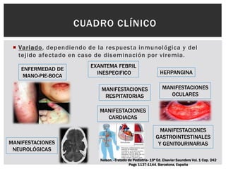  Variado, dependiendo de la respuesta inmunológica y del
tejido afectado en caso de diseminación por viremia.
CUADRO CLÍNICO
EXANTEMA FEBRIL
INESPECIFICO
ENFERMEDAD DE
MANO-PIE-BOCA
HERPANGINA
MANIFESTACIONES
RESPITATORIAS
MANIFESTACIONES
OCULARES
MANIFESTACIONES
CARDIACAS
MANIFESTACIONES
GASTROINTESTINALES
Y GENITOURINARIASMANIFESTACIONES
NEUROLÓGICAS
Nelson. «Tratado de Pediatría» 19ª Ed. Elsevier Saunders Vol. 1 Cap. 242
Pags 1137-1144. Barcelona, España
 