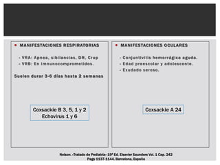  MANIFESTACIONES RESPIRATORIAS
- VRA: Apnea, sibilancias, DR, Crup
- VRB: En imnunocomprometidos.
Suelen durar 3-6 días hasta 2 semanas
 MANIFESTACIONES OCULARES
- Conjuntivitis hemorrágica aguda.
- Edad preescolar y adolescente.
- Exudado seroso.
Coxsackie B 3, 5, 1 y 2
Echovirus 1 y 6
Coxsackie A 24
Nelson. «Tratado de Pediatría» 19ª Ed. Elsevier Saunders Vol. 1 Cap. 242
Pags 1137-1144. Barcelona, España
 