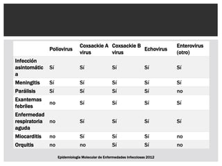 Poliovirus
Coxsackie A
virus
Coxsackie B
virus
Echovirus
Enterovirus
(otro)
Infección
asintomátic
a
Sí Sí Sí Sí Sí
Meningitis Sí Sí Sí Sí Sí
Parálisis Sí Sí Sí Sí no
Exantemas
febriles
no Sí Sí Sí Sí
Enfermedad
respiratoria
aguda
no Sí Sí Sí Sí
Miocarditis no Sí Sí Sí no
Orquitis no no Sí Sí no
Epidemiología Molecular de Enfermedades Infecciosas 2012
 