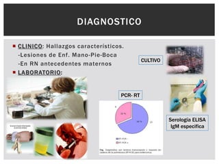  CLINICO: Hallazgos característicos.
-Lesiones de Enf. Mano-Pie-Boca
-En RN antecedentes maternos
 LABORATORIO:
DIAGNOSTICO
Serología ELISA
IgM especifica
PCR- RT
CULTIVO
 