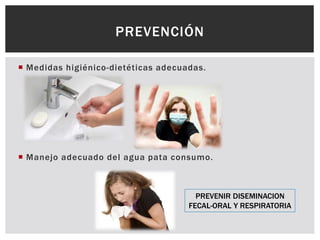  Medidas higiénico-dietéticas adecuadas.
 Manejo adecuado del agua pata consumo.
PREVENCIÓN
PREVENIR DISEMINACION
FECAL-ORAL Y RESPIRATORIA
 