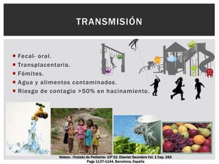 Fecal- oral.
 Transplacentaria.
 Fómites.
 Agua y alimentos contaminados.
 Riesgo de contagio >50% en hacinamiento.
TRANSMISIÓN
Nelson. «Tratado de Pediatría» 19ª Ed. Elsevier Saunders Vol. 1 Cap. 242
Pags 1137-1144. Barcelona, España
 