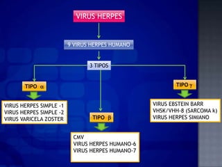 VIRUS HERPES


                         9 VIRUS HERPES HUMANO


                                3 TIPOS


       TIPO    ...