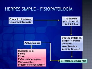 MANIFESTACIÓN CLÍNICA DEL HERPES SIMPLE




       FORMAS LEVES                              FORMAS SEVERAS


HERPES SIMPL...