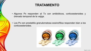 TRATAMIENTO
• Algunos Px responden al Tx con antibióticos, corticoesteroides y
drenado temporal de la vejiga.
• Los Px con prostatitis granulomatosa eosinofílica responden bien a los
corticoesteroides.
 