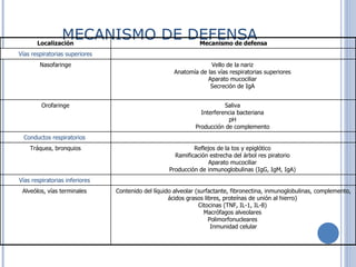 MECANISMO DE DEFENSA Localización Mecanismo de defensa Vías respiratorias superiores Nasofaringe Vello de la nariz  Anatomía de las vías respiratorias superiores  Aparato mucociliar  Secreción de IgA    Orofaringe  Saliva  Interferencia bacteriana  pH  Producción de complemento   Conductos respiratorios    Tráquea, bronquios  Reflejos de la tos y epiglótico  Ramificación estrecha del árbol res piratorio  Aparato mucociliar  Producción de inmunoglobulinas (IgG, IgM, IgA)  Vías respiratorias inferiores   Alveólos, vías terminales  Contenido del líquido alveolar (surfactante, fibronectina, inmunoglobulinas, complemento, ácidos grasos libres, proteínas de unión al hierro)  Citocinas (TNF, IL-1, IL-8)  Macrófagos alveolares  Polimorfonucleares  Inmunidad celular 