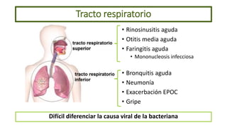 Tracto respiratorio
• Rinosinusitis aguda
• Otitis media aguda
• Faringitis aguda
• Mononucleosis infecciosa
• Bronquitis ...