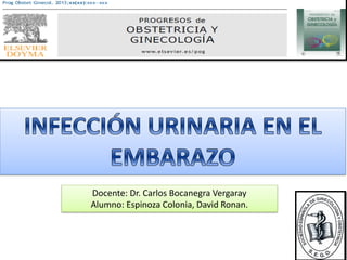 Docente: Dr. Carlos Bocanegra Vergaray Alumno: Espinoza Colonia, David Ronan.  