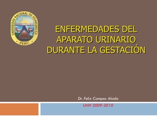 ENFERMEDADES DEL APARATO URINARIO DURANTE LA GESTACIÓN Dr. Felix Campos Alcala UNH 2009-2010 
