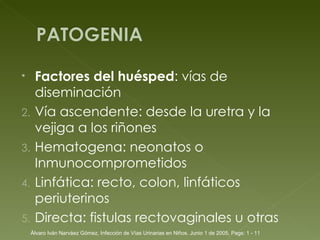 Factores del huésped : vías de diseminación Vía ascendente: desde la uretra y la vejiga a los riñones Hematogena: neonatos o Inmunocomprometidos Linfática: recto, colon, linfáticos periuterinos  Directa: fistulas rectovaginales u otras Álvaro Iván Narváez Gómez, Infección de Vías Urinarias en Niños. Junio 1 de 2005, Pags: 1 - 11 