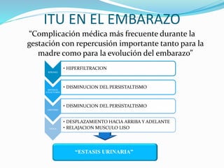 ITU EN EL EMBARAZO
“Complicación médica más frecuente durante la
gestación con repercusión importante tanto para la
madre ...