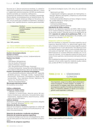 Manual A Mir
14 ] SÍNDROMES CLÍNICOS [
www.academiamir.com
fecciones por E. faecium vancomicina-resistente. Su utilidad en
infecciones estafilocócicas es limitada porque 80% de S. aureus
y S. epidermidis meticilina-resistentes y 20-40% de estafilococos
meticilina-sensibles son resistentes a dalfopristina.
El mecanismo de resistencia es similar a macrólidos y lincosamidas.
Efectos adversos: las estreptograminas son bastante tóxicas. Par-
ticularmente, irritación venosa que obliga con frecuencia a uti-
lizar una vía central para completar el tratamiento. Artralgias y
mialgias. Rash, hiperbilirrubinemia, molestias gastrointestinales.
1.3.- Generalidades sobre el diagnóstico microbioló-
gico de las enfermedades infecciosas
Diagnóstico directo (detección del agente causal)
Examen microscópico directo
Examen en fresco
Diagnóstico de parasitosis y micosis, fundamentalmente.
Examen tras tinción
- Gram.
- Ziehl-Nielsen (Micobacterias).
- Azul de toluidina (Protozoos).
- Giemsa (Protozoos, Hongos).
- PAS, Hematoxilina-eosina (Hongos, Protozoos).
- Tinciones fluorescentes: naranja de acridina (Bacterias), aura-
mina-rodamina (Micobacterias), blanco de calcoflúor (Hongos).
Examen microscópico con técnicas inmunológicas
- Inmunofluorescencia directa e indirecta (IFD, IFI) : Legionella,
Bordetella pertussis, Chlamydia, Giardia, Cryptosporidium,
Pneumocystis, Trichomonas, Citomegalovirus, Herpes simple,
Varicela-zóster, Virus respiratorio sincitial, Adenovirus, In-
fluenza virus, Parainfluenza virus.
- Técnicas inmunoenzimáticas.
Microscopía electrónica (virus)
(En la práctica no se utiliza)
Cultivo y aislamiento
Cultivos en medios inertes
1. Métodos convencionales.
2. Métodos no convencionales: detección precoz del creci-
miento microbiano por radiometría, microcalorimetría, espec-
trofotometría, impedanciometría, bioluminiscencia, nefelo-
metría, densitometría óptica.
Cultivos celulares
Aislamiento y tipificación de parásitos intracelulares obligados
(virus, Chlamydia, Rickettsia) (MIR 06, 230).
Detección de efecto citopático
Detección de antígenos microbianos específicos en células del
cultivo por técnicas inmunológicas (inmunofluorescencia, mé-
todos inmunoenzimáticos).
Detección de productos o moléculas microbianas
Detección de sustancias químicas específicas
En productos biológicos por técnicas cromatográficas (ej. detec-
ción de ácidos grasos en infecciones por anaerobios no esporu-
lados).
Detección de antígenos específicos
En productos biológicos (suero, LCR, orina, etc.) por técnicas
de:
- Aglutinación por látex.
- Coaglutinación (antígenos capsulares de Haemophilus in-
fluenzae, Neisseria meningitidis y Streptococcus pneumoniae
en LCR, sangre y orina).
- Enzimoinmunoanálisis (Rotavirus en heces, Antígeno manano
de Candida albicans en sangre y orina).
- Radioinmunoanálisis.
- Contrainmunoelectroforesis.
- Inmunoblotting (Western-blotting).
Hibridación de ácidos nucleicos
Detección de fragmentos específicos de ADN o ARN microbia-
no en muestras biológicas mediante el uso de sondas específi-
cas de ácido nucleico. Utilizando técnicas de amplificación de
ADN (reacción en cadena de la polimerasa, PCR), se han
convertido en los métodos de diagnóstico más sensibles, y son
cada vez más utilizados (MIR 98F, 198).
Diagnóstico indirecto (serología)
Pone de manifiesto la respuesta inmunitaria específica que el
organismo desarrolla frente a un determinado agente pató-
geno. Se basa en la detección de anticuerpos específicos para el
microorganismo en el suero del paciente. Para diferenciar entre
una infección aguda y una antigua a veces es posible determinar
anticuerpos de clase IgM. Otras veces es necesario hacer dos
determinaciones en muestras diferentes extraídas con 2-3 se-
manas de intervalo. Si en la segunda muestra los títulos son al
menos 4 veces superiores, (seroconversión) demuestra infección
aguda.
Otra modalidad de diagnóstico indirecto es la demostración de
respuesta inmune celular específica mediante prueba cutánea
(p.ej. prueba de PPD en la infección tuberculosa).
2.1. Endocarditis infecciosa
1. Betalactámicos
2. Metronidazol
3. Clindamicina
4. Moxifloxacino
Penicilina G
Amoxicilina - clavulánico, Piperacilina/Tazobactam
Ticarcilina/Clavulánico
Cefoxitina
Carbapenem
Tabla 3. MIR y anaerobios.
TEMA 2 SÍNDROMES
CLÍNICOS
Tema importante, aunque en los últimos años ha disminuido el
número de preguntas. Conviene estudiarlo “al completo”. Es-
pecial atención a la etiología y datos clínicos relacionados con
microorganismos específicos. No olvidar las indicaciones de pro-
filaxis y el tratamiento antibiótico en relación con el microor-
ganismo causal sospechado o confirmado.
ENFOQUE MIR
Figura 1. Imagen ecográfica y A.P. de endocarditis.
 