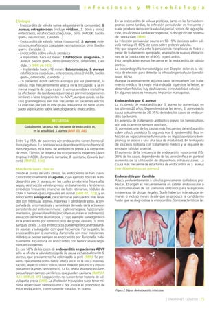 I n f e c c i o s a s y M i c r o b i o l o g í a
15] SÍNDROMES CLÍNICOS [
Etiología
- Endocarditis de válvula nativa adquirida en la comunidad: S.
aureus, estreptococos (incluye viridans, S. bovis y otros),
enterococos, estafilococos coagulasa-, otros (HACEK, bacilos
gram-, neumococo, Candida…).
- Endocarditis de válvula nativa nosocomial: S. aureus, ente-
rococos, estafilococos coagulasa-, estreptococos, otros (bacilos
gram-, Candida…).
- Endocarditis sobre válvula protésica
• Implantada hace <2 meses: Estafilococos coagulasa-, S.
aureus, bacilos gram-, otros (enterococos, difteroides, Can-
dida…) (MIR 96,149).
• Implantada hace >12 meses: Estreptococos, S. aureus,
estafilococos coagulasa-, enterococos, otros (HACEK, bacilos
gram-, difteroides, Candida…).
- En pacientes ADVP (adictos a drogas por vía parenteral), la
válvula más frecuentemente afecta es la tricúspide, y la in-
mensa mayoría de casos es por S. aureus sensible a meticilina.
La afectación de cavidades izquierdas es por microorganismos
similares a la de los pacientes no ADVP, aunque quizás los ba-
cilos gramnegativos son más frecuentes en pacientes adictos.
La infección por VIH en este grupo poblacional no tiene un im-
pacto significativo sobre la etiologia de la endocarditis.
Entre 5 y 15% de pacientes con endocarditis tienen hemocul-
tivos negativos. La primera causa de endocarditis con hemocul-
tivos negativos es la toma de antibióticos previa a la extracción
de estos. El resto, se deben a microorganismos exigentes (Abio-
trophia, HACEK, Bartonella henselae, B. quintana, Coxiella bur-
netii) (MIR 02, 130).
Manifestaciones clínicas
Desde el punto de vista clínico, las endocarditis se han clasifi-
cado tradicionalmente en agudas, cuyo ejemplo típico es la en-
docarditis por S. aureus, en las cuales predomina fiebre alta,
sepsis, destrucción valvular precoz sin tratamiento y fenómenos
embólicos frecuentes (manchas de Roth retinianas, nódulos de
Osler y hemorragias ungueales en astilla) (MIR 07, 133), y en
endocarditis subagudas, caracterizadas por cuadros más larva-
dos con febrícula, astenia, hiporexia y pérdida de peso, acom-
pañada de sintomatología y semiología derivada de la activación
persistente del sistema inmune: esplenomegalia, hipocomple-
mentemia, glomerulonefritis (microhematuria en el sedimento),
elevación de factor reumatoide, y cuyo ejemplo paradigmático
es la endocarditis por estreptococos del grupo viridans (S. mitis,
sanguis, oralis…). Los enterococos pueden provocar endocardi-
tis agudas y subagudas con igual frecuencia. Por su parte, las
endocarditis por C.burnetii y Bartonella son muy indolentes.
Habrá que pensar siempre en endocarditis por Bartonella, habi-
tualmente B.quintana, en endocarditis con hemocultivos nega-
tivos en indigentes.
En casi 50% de los casos de endocarditis en pacientes ADVP
sólo se afecta la válvula tricúspide (la causa es habitualmente S.
aureus, que previamente ha colonizado la piel) (MIR). Se pre-
senta típicamente como fiebre alta (a veces es la única manifes-
tación), aspecto clínico tóxico, dolor torácico pleurítico y esputo
purulento (a veces hemoptoico). La RX revela lesiones circulares
pequeñas en campos periféricos que pueden cavitarse (MIR 07,
121; MIR 05, 47). Los pacientes no suelen tener historia de val-
vulopatía previa (MIR). La afectación tricuspidea suele tener mí-
nima repercusión hemodinámica por lo que el pronóstico de
estas endocarditis, correctamente tratadas, es bueno.
En las endocarditis de válvula protésica, tanto en las formas tem-
pranas como tardías, la infección perivalvular es frecuente y
suele producir dehiscencia valvular parcial, soplos de regurgita-
ción, insuficiencia cardíaca congestiva, o disrupción del sistema
de conducción (MIR).
La infección perivalvular ocurre en 10-15% de casos sobre vál-
vula nativa y 45-60% de casos sobre prótesis valvular.
Hay que sospecharla ante la persistencia inexplicada de fiebre a
pesar de tratamiento apropiado, aparición de nuevas alteracio-
nes de la conducción en el ECG, o pericarditis.
Esta complicación es más frecuente en la endocarditis de válvula
aórtica.
La ecocardiografía transesofágica con Doppler color es la téc-
nica de elección para detectar la infección perivalvular (sensibi-
lidad 85%).
Aunque ocasionalmente algunos casos se resuelven con trata-
miento médico, la cirugía está indicada si persiste la fiebre, se
desarrollan fístulas, hay deshiscencia o inestabilidad valvular.
En algunos casos es necesario implantar marcapasos.
Endocarditis por S. aureus
La incidencia de endocarditis por S. aureus ha aumentado en
los últimos 20 años. Dependiendo de las series, S. aureus es la
causa actualmente de 25-35% de todos los casos de endocar-
ditis bacteriana.
En ausencia de tratamiento antibiótico previo, los hemocultivos
son prácticamente siempre positivos.
S. aureus es una de las causas más frecuentes de endocarditis
sobre válvula protésica (la segunda tras S. epidermidis). Esta in-
fección es especialmente fulminante en el postoperatorio tem-
prano y se asocia a una alta tasa de mortalidad. En la mayoría
de los casos no basta con tratamiento médico y se requiere re-
emplazo valvular urgente.
El aumento de la frecuencia de endocarditis nosocomial (15-
30% de los casos, dependiendo de las series) refleja en parte el
aumento de la utilización de dispositivos intravasculares. La
causa más frecuente de esta forma de endocarditis es S. aureus
(ver Staphylococcus aureus).
Endocarditis por Candida
Afecta preferentemente a válvulas previamente dañadas o pro-
tésicas. El origen es frecuentemente un catéter endovascular o
la contaminación de los utensilios utilizados para la inyección
intravenosa de drogas ilegales. Suele haber un intervalo de se-
manas o incluso meses desde que se produce la candidemia
hasta que se diagnostica la endocarditis. Son características las
Globalmente, la causa más frecuente de endocarditis es,
en la actualidad, S. aureus (MIR 03, 88).
RECUERDA
Figura 2. Signos de endocarditis infecciosa.
 