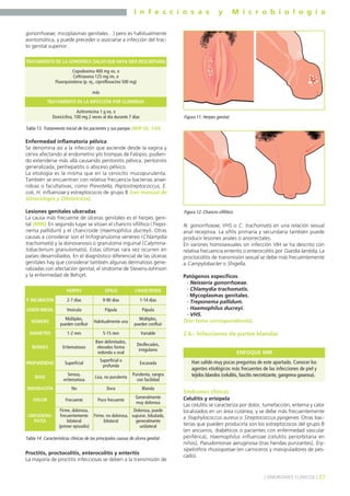 I n f e c c i o s a s y M i c r o b i o l o g í a
27] SÍNDROMES CLÍNICOS [
gonorrhoeae, micoplasmas genitales…) pero es habitualmente
asintomática, y puede preceder o asociarse a infección del trac-
to genital superior.
Enfermedad inflamatoria pélvica
Se denomina así a la infección que asciende desde la vagina y
cérvix afectando al endometrio y/o trompas de Falopio, pudien-
do extenderse más allá causando peritonitis pélvica, peritonitis
generalizada, perihepatitis o absceso pélvico.
La etiología es la misma que en la cervicitis mucopurulenta.
También se encuentran con relativa frecuencia bacterias anae-
robias o facultativas, como Prevotella, Peptostreptococcus, E.
coli, H. influenzae y estreptococos de grupo B (ver manual de
Ginecología y Obstetricia).
Lesiones genitales ulceradas
La causa más frecuente de úlceras genitales es el herpes geni-
tal (MIR). En segundo lugar se sitúan el chancro sifilítico (Trepo-
nema pallidum) y el chancroide (Haemophilus ducreyi). Otras
causas a considerar son el linfogranuloma venéreo (Chlamydia
trachomatis) y la donovanosis o granuloma inguinal (Calymma-
tobacterium granulomatis). Estas últimas rara vez ocurren en
países desarrollados. En el diagnóstico diferencial de las úlceras
genitales hay que considerar también algunas dermatosis gene-
ralizadas con afectación genital, el síndrome de Stevens-Johnson
y la enfermedad de Behçet.
Proctitis, proctocolitis, enterocolitis y enteritis
La mayoría de proctitis infecciosas se deben a la transmisión de
N. gonorrhoeae, VHS o C. trachomatis en una relación sexual
anal receptiva. La sífilis primaria y secundaria también puede
producir lesiones anales o anorrectales.
En varones homosexuales sin infección VIH se ha descrito con
relativa frecuencia enteritis o enterocolitis por Giardia lamblia. La
proctocolitis de transmisión sexual se debe más frecuentemente
a Campylobacter o Shigella.
Patógenos específicos
- Neisseria gonorrhoeae.
- Chlamydia trachomatis.
- Mycoplasmas genitales.
- Treponema pallidum.
- Haemophilus ducreyi.
- VHS.
(Ver tema correspondiente).
2.6.- Infecciones de partes blandas
Síndromes clínicos
Celulitis y erisipela
Las celulitis se caracteriza por dolor, tumefacción, eritema y calor
localizados en un área cutánea, y se debe más frecuentemente
a Staphylococcus aureus o Streptococcus pyogenes. Otras bac-
terias que pueden producirla son los estreptococos del grupo B
(en ancianos, diabéticos o pacientes con enfermedad vascular
periférica), Haemophilus influenzae (celulitis periorbitaria en
niños), Pseudomonas aeruginosa (tras heridas punzantes), Ery-
sipelothrix rhusiopatiae (en carniceros y manipuladores de pes-
cado).
Cepodoxima 400 mg vo, o
Ceftriaxona 125 mg im, o
Fluorquinolona (p. ej., ciprofloxacino 500 mg)
más
TRATAMIENTO DE LA GONORREA (SALVO QUE HAYA SIDO DESCARTADA)
TRATAMIENTO DE LA INFECCIÓN POR CLAMIDIAS
Azitromicina 1 g vo, o
Doxiciclina, 100 mg 2 veces al día durante 7 días
Tabla 13. Tratamiento inicial de los pacientes y sus parejas (MIR 05, 134).
HERPES
2-7 días
SÍFILIS CHANCROIDE
P. INCUBACIÓN 1-14 días9-90 días
VesículaLESIÓN INICIAL PápulaPápula
Múltiples,
pueden confluir
NÚMERO
Múltiples,
pueden confluir
Habitualmente una
1-2 mmDIÁMETRO Variable5-15 mm
EritematososBORDES
Desflecados,
irregulares
Bien delimitados,
elevados forma
redonda u oval
SuperficialPROFUNDIDAD Excavada
Superficial o
profunda
Serosa,
eritematosa
BASE
Purulenta, sangra
con facilidad
Lisa, no purulenta
NoINDURACIÓN BlandaDura
FrecuenteDOLOR
Generalmente
muy dolorosa
Poco frecuente
Firme, dolorosa,
frecuentemente
bilateral
(primer episodio)
LINFADENO-
PATÍA
Dolorosa, puede
supurar, lobulada,
generalmente
unilateral
Firme, no dolorosa,
bilateral
Tabla 14. Características clínicas de las principales causas de úlcera genital.
Figura 11. Herpes genital.
Figura 12. Chancro sifilítico.
Han salido muy pocas preguntas de este apartado. Conocer los
agentes etiológicos más frecuentes de las infecciones de piel y
tejidos blandos (celulitis, fascitis necrotizante, gangrena gaseosa).
ENFOQUE MIR
 