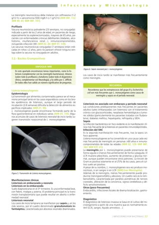 I n f e c c i o s a s y M i c r o b i o l o g í a
37] INFECCIONES POR BACTERIAS [
La meningitis neumocócica debe tratarse con ceftriaxona (1-2
g/12 h) + vancomicina (500 mg/6 h o 1 g/12 h) (MIR 00F, 112;
MIR 99, 65; MIR 98F, 157).
Profilaxis
Vacuna neumocócica polivalente (23 serotipos, no conjugada):
indicada a partir de los 2 años de edad, en pacientes de riesgo,
especialmente los esplenectomizados, mayores de 65 años, pa-
cientes con enfermedades crónicas debilitantes (diabetes, alco-
holismo, insufienciencia renal…), inmunocomprometidos,
incluyendo infección VIH (MIR 03, 44; MIR 97, 134).
Las vacunas neumocócicas conjugadas (7 serotipos) están indi-
cadas en niños <2 años, pero no parecen ofrecer ninguna ven-
taja sobre la vacuna no conjugada en adultos.
3.2.- Bacilos Grampositivos
Listeria monocytogenes
Epidemiología
La transmisión por alimentos contaminados parece ser el meca-
nismo principal tanto en los casos esporádicos como en los bro-
tes epidémicos de listeriosis, aunque el largo período de
incubación (2-6 semanas) dificulta la detección de alimentos es-
pecíficos implicados (MIR 01, 99).
L. monocytogenes puede encontrarse formando parte de la
flora gastrointestinal en individuos sanos (MIR 03, 155). Algu-
nos acúmulos de casos de listeriosis neonatal de inicio tardío su-
gieren transmisión nosocomial de L. monocytogenes.
Manifestaciones clínicas
Listeriosis en embarazada y neonato
Listeriosis en la embarazada
Suele diagnosticarse en el 3er trimestre. Es una enfermedad leve,
con fiebre, mialgias y astenia. El problema principal es la trans-
misión transplacentaria que puede resultar en aborto o enfer-
medad neonatal.
Listeriosis neonatal
Los casos de inicio temprano se manifiestan por sepsis y, en los
más severos, por el cuadro denominado granulomatosis in-
fantiséptica, caracterizada por abscesos viscerales diseminados.
Los casos de inicio tardío se manifiestan más frecuentemente
como meningitis.
Listeriosis no asociada con embarazo y período neonatal
Las condiciones predisponentes más frecuentes en pacientes
adultos (salvo embarazadas con listeriosis) son el tratamiento
crónico con glucocorticoides, neoplasias hematológicas o tumo-
res sólidos (particularmente los pacientes tratados con fludara-
bina), diabetes mellitus, hepatopatía, nefropatía y SIDA.
Sepsis
La infección bacteriémica sin foco evidente es la manifestación clí-
nica más frecuente de la listeriosis en pacientes inmunodeprimidos.
Infección del SNC
Es la segunda manifestación más frecuente, tras la sepsis sin
foco aparente.
Listeria monocytogenes se ha convertido en una causa cada vez
más frecuente de meningitis en personas >60 años e inmuno-
comprometidos de todas las edades (MIR 02, 129; MIR 98F,
162; MIR 97F, 01).
La meningitis por L. monocytogenes puede presentarse de
forma aguda o (menos frecuentemente) de forma subaguda. El
LCR muestra pleocitosis, aumento de proteínas y glucosa nor-
mal, aunque pueden encontrarse otros patrones. La tinción de
Gram es positiva solamente en el 25% de los casos, pero el cul-
tivo suele ser positivo.
A pesar de su nombre, L. monocytogenes rara vez produce mo-
nocitosis, ni en sangre ni en LCR (MIR) (ver Meningitis).
Además de la meningitis, menos frecuentemente puede pro-
ducirse meningoencefalitis y abscesos. Un cuadro raro es la rom-
bencefalitis, caracterizada por parálisis asimétricas de nervios
craneales, alteración de la conciencia, signos cerebelosos y dé-
ficits sensitivomotores.
Otras (poco frecuentes)
Endocarditis, infecciones focales de diversa localización, gastro-
enteritis.
Diagnóstico
El diagnóstico de listeriosis invasiva se basa en el cultivo del mi-
croorganismo a partir de una muestra que es normalmente es-
téril (LCR, sangre, líquido amniótico…).
En este apartado encontramos temas importantes, como la lis-
teriosis (complementar con las meningitis bacterianas), tétanos
(sobre todo la profilaxis) y botulismo (sobre todo el diagnóstico
clínico, complementar con Neurología), y la colitis por C. difficile.
De todos ellos han salido un número significativo de preguntas.
ENFOQUE MIR
Figura 5. Transmisión de Listeria monocytogenes.
Figura 6. Sepsis neonatal por L. monocytogenes.
Recordemos que los estreptococos del grupo B y Escherichia
coli son más frecuentes que L. monocytogenes como causa de
meningitis y sepsis en el período neonatal.
RECUERDA
 