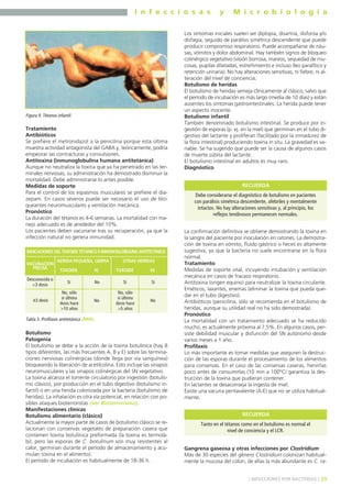 I n f e c c i o s a s y M i c r o b i o l o g í a
39] INFECCIONES POR BACTERIAS [
Tratamiento
Antibióticos
Se prefiere el metronidazol a la penicilina porque esta última
muestra actividad antagonista del GABA y, teóricamente, podría
empeorar las contracturas y convulsiones.
Antitoxina (inmunoglobulina humana antitetánica)
Aunque no neutraliza la toxina que ya ha penetrado en las ter-
minales nerviosas, su administración ha demostrado disminuir la
mortalidad. Debe administrarse lo antes posible.
Medidas de soporte
Para el control de los espasmos musculares se prefiere el dia-
zepam. En casos severos puede ser necesario el uso de blo-
queantes neuromusculares y ventilación mecánica.
Pronóstico
La duración del tétanos es 4-6 semanas. La mortalidad con ma-
nejo adecuado es de alrededor del 10%.
Los pacientes deben vacunarse tras su recuperación, ya que la
infección natural no genera inmunidad.
Botulismo
Patogenia
El botulismo se debe a la acción de la toxina botulínica (hay 8
tipos diferentes, las más frecuentes A, B y E) sobre las termina-
ciones nerviosas colinérgicas (donde llega por vía sanguínea)
bloqueando la liberación de acetilcolina. Esto incluye las sinapsis
neuromusculares y las sinapsis colinérgicas del SN vegetativo.
La toxina alcanza el torrente circulatorio por ingestión (botulis-
mo clásico), por producción en el tubo digestivo (botulismo in-
fantil) o en una herida colonizada por la bacteria (botulismo de
heridas). La inhalación es otra vía potencial, en relación con po-
sibles ataques bioterroristas (ver Bioterrorismo).
Manifestaciones clínicas
Botulismo alimentario (clásico)
Actualmente la mayor parte de casos de botulismo clásico se re-
lacionan con conservas vegetales de preparación casera que
contienen toxina botulínica preformada (la toxina es termolá-
bil, pero las esporas de C. botulinum son muy resistentes al
calor, germinan durante el período de almacenamiento y acu-
mulan toxina en el alimento).
El período de incubación es habitualmente de 18-36 h.
Los síntomas iniciales suelen ser diplopia, disartria, disfonía y/o
disfagia, seguido de parálisis simétrica descendente que puede
producir compromiso respiratorio. Puede acompañarse de náu-
sas, vómitos y dolor abdominal. Hay también signos de bloqueo
colinérgico vegetativo (visión borrosa, mareos, sequedad de mu-
cosas, pupilas dilatadas, estreñimiento e incluso íleo paralítico y
retención urinaria). No hay alteraciones sensitivas, ni fiebre, ni al-
teración del nivel de conciencia.
Botulismo de heridas
El botulismo de heridas semeja clínicamente al clásico, salvo que
el período de incubación es más largo (media de 10 días) y están
ausentes los síntomas gastrointestinales. La herida puede tener
un aspecto inocente.
Botulismo infantil
También denominado botulismo intestinal. Se produce por in-
gestión de esporas (p. ej. en la miel) que germinan en el tubo di-
gestivo del lactante y proliferan (facilitado por la inmadurez de
la flora intestinal) produciendo toxina in situ. La gravedad es va-
riable. Se ha sugerido que puede ser la causa de algunos casos
de muerte súbita del lactante.
El botulismo intestinal en adultos es muy raro.
Diagnóstico
La confirmación definitiva se obtiene demostrando la toxina en
la sangre del paciente por inoculación en ratones. La demostra-
ción de toxina en vómito, fluido gástrico o heces es altamente
sugestiva, ya que la bacteria no suele encontrarse en la flora
normal.
Tratamiento
Medidas de soporte vital, incuyendo intubación y ventilación
mecánica en casos de fracaso respiratorio.
Antitoxina (origen equino) para neutralizar la toxina circulante.
Eméticos, laxantes, enemas (eliminar la toxina que pueda que-
dar en el tubo digestivo).
Antibióticos (penicilina, sólo se recomienda en el botulismo de
heridas, aunque su utilidad real no ha sido demostrada).
Pronóstico
La mortalidad con un tratamiento adecuado se ha reducido
mucho, es actualmente próxima al 7,5%. En algunos casos, per-
siste debilidad muscular y disfunción del SN autónomo desde
varios meses a 1 año.
Profilaxis
Lo más importante es tomar medidas que aseguren la destruc-
ción de las esporas durante el procesamiento de los alimentos
para conservas. En el caso de las conservas caseras, hervirlas
poco antes de consumirlas (10 min a 100ºC) garantiza la des-
trucción de la toxina que pudieran contener.
En lactantes se desaconseja la ingesta de miel.
Existe una vacuna pentavalente (A-E) que no se utiliza habitual-
mente.
Gangrena gaseosa y otras infecciones por Clostridium
Más de 30 especies del género Clostridium colonizan habitual-
mente la mucosa del colon, de ellas la más abundante es C. ra-
Figura 9. Tétanos infantil.
No, sólo
si última
dosis hace
>10 años
HERIDA PEQUEÑA, LIMPIA
Desconocida o
<3 dosis
Sí
INDICACIONES DEL TOXOIDE TETÁNICO E INMUNOGLOBULINA ANTITETÁNICA
VACUNACIÓN
PREVIA
OTRAS HERIDAS
TOXOIDE IG TOXOIDE IG
No Sí Sí
≥3 dosis
No, sólo
si última
dosis hace
>5 años
No No
Tabla 5. Profilaxis antitetánica (MIR).
Debe considerarse el diagnóstico de botulismo en pacientes
con parálisis simétrica descendente, afebriles y mentalmente
intactos. No hay alteraciones sensitivas y, al principio, los
reflejos tendinosos permanecen normales.
RECUERDA
Tanto en el tétanos como en el botulismo es normal el
nivel de conciencia y el LCR.
RECUERDA
 