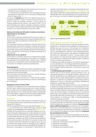 I n f e c c i o s a s y M i c r o b i o l o g í a
79] INFECCIONES POR VIRUS [
- Los pacientes infectados por VIH-2 evolucionan mucho más
lentamente que los infectados por VIH-1.
- La infección activa simultanea por otros microorganismos pa-
rece acelerar la replicación viral y la evolución (Herpesviridae,
VHB, M. tuberculosis…).
Por último, el tropismo del HIV es otro determinante de la ve-
locidad de evolución a SIDA. Cuando la infección HIV se ad-
quiere a través de relaciones sexuales, el virus muestra un
tropismo preferencial por infectar a las células CCR5+. Con el
paso del tiempo, por motivos complejos, el tropismo viral evo-
luciona para infectar preferencialmente CXCR4. Este fenómeno
se asocia a una mayor velocidad de evolución a SIDA.
Efectos de la infección VIH sobre el sistema inmunitario
Alteraciones en las células T
Células CD4+
El VIH infecta y destruye preferentemente este tipo celular. Su
disminución explica prácticamente todas las alteraciones inmu-
nitarias en las fases avanzadas de la infección VIH (MIR 00, 24).
Células CD8+
Son el principal mecanismo de defensa contra la infección VIH,
destruyendo las células CD4 infectadas, limitando así la progre-
sión de la infección. Tras la primoinfección alcanzan niveles su-
pranormales y permanecen elevadas durante la fase de latencia
clínica, para disminuir finalmente en las etapas avanzadas de la
infección VIH.
Alteraciones en las células B
El VIH induce su activación anormal y la consecuencia es hiper-
gammaglobulinemia, y disregulación inmunitaria, con tendencia
a la generación de autoanticuerpos. Además hay un defecto
funcional, con respuestas de anticuerpos deprimidas ante la in-
munización con antígenos proteicos y polisacáridos.
Neuropatogenia
Los principales tipos celulares en el cerebro infectados por el VIH
son los macrófagos perivasculares y las células de la microglia
(de estirpe monocito-macrófago).
No hay pruebas convincentes de que otras células (astroglia,
neuronas) puedan ser infectadas in vivo.
La pérdida neuronal que ocurre en la infección VIH se debe a
mecanismos indirectos (neurotoxinas y citoquinas liberadas por
los macrófagos).
Respuestas inmune frente al VIH
Se produce una respuesta inmune específica frente a antígenos
del VIH, tanto humoral (anticuerpos) como celular (células T
CD4+ y CD8+). No se ha podido establecer con claridad cuál de
estas respuestas es más importante para retrasar la progresión
de la enfermedad o si alguna de ellas tiene algún papel patogé-
nico, pudiendo, paradójicamente, facilitar la progresión.
Diagnóstico
Los anticuerpos frente al VIH aparecen normalmente sobre las
6 semanas y prácticamente siempre están presentes a las 12 se-
manas de la infección.
El ELISA (sensibilidad >99.5%, pero baja especificidad) (MIR 97,
11) con confirmación por Western-blot sigue siendo el “gold
standard” para el diagnóstico de la infección VIH (MIR 01F, 257).
La detección de Ag p24 tiene su principal indicación en el sín-
drome VIH agudo. Adicionalmente, se está utilizando de manera
rutinaria junto con el ELISA-VIH y la prueba de ácido nucleico en
el screening de donantes de sangre en países desarrollados.
La detección cuantitativa, por PCR y otras técnicas de amplifica-
ción de ácidos nucleicos, del ARN vírico en plasma (carga viral)
es útil para confirmar el diagnóstico en algunos casos, (p.ej. en
el síndrome VIH agudo, en que la serología es aún negativa),
pero su principal utilidad está en la posibilidad de establecer un
pronóstico inicial (según el “viral set point”), determinar la ne-
cesidad o no de tratamiento y monitorizar la efectividad de la te-
rapia antirretrovírica (MIR 01F, 94; MIR 00, 141; MIR 98, 172).
Las pruebas disponibles comercialmente para la detección de
ARN del VIH tienen una sensibilidad de 50-75 copias/mL de san-
gre. En la figura se muestra el algoritmo diagnóstico habitual.
Manifestaciones clínicas de la infección por VIH
Un 50 o 70 % de las personas con infección aguda por VIH ex-
perimentan un síndrome mononucleósido sin anticuerpos he-
terófilos que dura en torno a 3-6 semanas, de intensidad y
duración variable, siendo importante reseñar que a mayor du-
ración e intensidad de los síntomas, mayor velocidad de evolu-
ción a SIDA. Durante esta fase, suele aparecer trombopenia por
fenómeno de “espectador inocente”, lesiones orales y exan-
tema cutáneo, así como meningitis aséptica con escasa pleioci-
tosis linfocitaria con afectación de pares craneales. La fiebre es
el signo y síntoma más frecuente.
Un pequeño porcentaje de pacientes con infección aguda siguen
un curso de deterioro inmunológico rápidamente progresivo.
El marcador diagnóstico más sensible de la primoinfección es la
PCR; el antígeno p24 es positivo en un 75% de los casos a las
dos semanas.
La linfadenopatía generalizada es la expresión clínica del fe-
nómeno por el cual el sistema inmune contiene al virus, al
menos temporalmente en los ganglios linfáticos. Aparecen en el
50-70% de afectados como adenopatías no dolorosas en múl-
tiples territorios, siendo excepcionales en mediastino e hilios pul-
monares. Su aparición no condiciona mejor pronóstico pero su
desaparición, marca un deterioro inmunológico rápidamente
progresivo y rápido desarrollo de SIDA.
Cuando el deterioro del sistema inmune es muy marcado, por
lo general por debajo de 200 CD4, es cuando aparecen la ma-
yoría de las patologías oportunistas que son criterio para el diag-
nostico de SIDA. Algunas infecciones pueden aparecer antes,
como son el herpes zóster, la candidiasis oral y en ocasiones la
tuberculosis. Entre aquellas que típicamente aparecen por de-
bajo de 200 CD4 están la neumonía por P. jirovecii, la toxoplas-
mosis cerebral, la retinitis por CMV, la leucoencefalopatía
multifocal progresiva y el MAI.
Con la aparición de la terapia antirretroviral de gran actividad,
la incidencia de todas las infecciones oportunistas ha disminuido
de forma significativa, excepto en el caso de la leucoencefalo-
patía multifocal progresiva. En enfermos muy inmunodepri-
midos tras el inicio del tratamiento antirretroviral se aprecia en
ocasiones la aparición de infecciones sintomáticas, coincidiendo
con la mejoría inmunológica; es lo que se denomina Síndrome
de reconstitución inmune.
Vamos a clasificar para su estudio las patologías que se presen-
tan en el paciente con infección por VIH en función del territorio
afectado:
1. Infecciones respiratorias.
2. Infecciones orofaríngeas y del A. digestivo.
3. Afectación neurológica.
4. Afectación hematológica.
5. Afectación renal y genitourinaria.
Figura 6. Algoritmo diagnóstico del VIH.
Repetir
Elisa VIH
Confirmar
Wester blot
Diagnóstico de
infección VIH
Repetir en 4-6
semanas o determinar
Ag p24 o hacer PCR
Volver a testar
en 3-6 semanas si
clínicamente indicado
Screening
Elisa VIH
+
-
- -
-
+ +
+Indeterminado
 