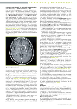 I n f e c c i o s a s y M i c r o b i o l o g í a
83] INFECCIONES POR VIRUS [
El paciente infectado por VIH con Lesión Ocupante de Es-
pacio intracraneal (LOE): Toxoplasmosis y LNH
En un paciente infectado por VIH, la presencia de lesiones ocu-
pantes de espacio (LOE) intracraneales hipodensas y con capta-
ción en anillo tras la administración de contraste en el TAC y la
RM cerebral, debe hacernos pensar como primera posibilidad
en una toxoplasmosis cerebral, que es la infección oportu-
nista más frecuente del SNC en estos pacientes (aunque son
varias las causas de LOE en este contexto, en el MIR el principal
diagnóstico diferencial se hace con el LNH primario del SNC).
Toxoplasma gondii es un protozoo. La toxoplasmosis cerebral
en pacientes con SIDA ocurre de manera casi exclusiva en pa-
cientes con CD4 por debajo de 200, a partir de la reactivación
de focos latentes de toxoplasma intracraneal. Si bien hasta hace
poco tiempo era la primera causa de LOE intracraneal en el VIH
(MIR 01F, 92; MIR 99F, 257), el descenso de la incidencia de
toxoplasmosis con el TARGA y el incremento de la incidencia de
LEMP, ha hecho que a día de hoy toxoplasmosis y LEMP com-
partan el primer puesto en esa clasificación (aproximadamente
el 28% cada uno).
Clínicamente, suele manifestarse con fiebre más focalidad neu-
rológica variable en función de su localización, siendo la causa
más frecuente de focalidad neurológica en pacientes infectados
por VIH.
El diagnóstico de toxoplasmosis se plantea siempre que encon-
tramos LOE intracraneales hipodensas con captación de con-
traste en anillo (MIR 06,123; MIR 98F,160). El diagnóstico
definitivo nos lo daría una biopsia cerebral. En la practica clínica
sin embargo, el planteamiento habitual ante una LOE con las
características antes señaladas es establecer tratamiento empí-
rico, asumiendo el diagnóstico si se resuelve el cuadro clínico
(por este motivo debe restringirse el uso de esteroides sólo a los
casos imprescindibles por edema perilesional importante, por-
que los esteroides hacen desaparecer parcial o totalmente las
imágenes en RMN del LNH primario, pudiendo enmascarar un
diagnóstico de linfoma y hacernos asumir erróneamente el de
toxoplasmosis). ¿Qué circunstancias disminuyen la probabilidad
de que sea una toxoplasmosis cerebral?
- Serología negativa frente a toxoplasma. En este caso, la pro-
babilidad de que una LOE sea toxoplasmosis es <10%.
- Lesión única.
En caso de dudas, si se puede realizar una punción lumbar, se
pude buscar antígeno de T. gondii en LCR con una sensibilidad
aproximada del 50% y una especificidad del 100%.
El tratamiento de elección es sulfadiacina más pirimetamina
(más ácido folínico de rescate), siendo las alternativas la clinda-
micina más pirimetamina y atovacuona. Resuelta la situación,
se deja tratamiento de mantenimiento con sulfadiacina más pi-
rimetamina, pudiendo retirarse cuando el paciente en trata-
miento con TARGA tenga menos de 500 copias de carga viral y
más de 200 CD4 al menos durante 3 meses.
La profilaxis primaria se realiza con cotrimoxazol y se indica
para cualquier paciente con menos de 100 CD4 (ya deberían
estar recibiéndola para el Pneumocystis).
El diagnóstico diferencial se plantea fundamentalmente con el
Linfoma No Hodgkin Primario del SNC (LNHPSNC) asociado
en prácticamente el 100% de los casos al VEB. Debemos pensar
en este diagnóstico cuando:
- Cuando en presencia de LOE intracraneal hipodensa con cap-
tación de contraste en anillo y tratado empíricamente como
toxoplasmosis, no hay mejoría.
- En pacientes con <50 CD4 (igualmente probable toxoplasma
pero casi todos los LNHPSNC suceden por debajo de 50, a di-
ferencia de los LNH sistémicos en pacientes VIH que se pre-
sentan con una media de CD4 de 189).
- Serología negativa frente a toxoplasma.
Obviamente, el diagnóstico se establece con biopsia cerebral.
Puesto que en el 100% de los casos se detecta genoma de VEB
en las células de LNHPSNC, se puede asumir el diagnóstico en
el contexto adecuado con la positividad de la PCR frente a VEB
en el LCR (sensibilidad aproximada 90%, especificidad 80%) en
aquellos casos en que no se pueda biopsiar.
El tratamiento puede realizarse con metotrexate + AraC, o
bien de forma clásica con radioterapia + esteroides, con tasas
similares de éxito. En caso de recidiva, se da radioterapia.
LeucoEncefalopatía Multifocal Progresiva (LEMP)
La LEMP, causada por el papilomavirus humano JC, es una ma-
nifestación tardía del SIDA, afecta al 4% de los pacientes, no
tiene tratamiento específico aunque puede remitir con trata-
miento antirretroviral (MIR 05, 131).
Su curso es crónico, lentamente progresivo, con déficits multi-
focales, con o sin cambios en el estado mental. Puede ocurrir
ataxia, hemiparesia, defectos en los campos visuales, afasia, o
alteraciones sensitivas.
La RM muestra lesiones en la sustancia blanca, hipointensas en
secuencias T1 e hiperintensas en secuencias T2 que no captan
gadolinio ni tienen efecto de masa, localizadas preferentemen-
te en lóbulos occipital y parietal (MIR 07, 56; MIR 06, 122).
Es posible el empeoramiento paradójico de la LEMP con el inicio
de tratamiento antirretroviral (síndrome de reactivación inmune).
Encefalopatía VIH
La encefalopatía VIH (complejo demencia-SIDA) es general-
mente una complicación tardía, pero puede verse en pacientes
con CD4 >350/µL. Mejora con la terapia antirretroviral.
Se manifiesta principalmente por deterioro cognitivo (demen-
cia). Puede haber alteraciones motoras y del comportamiento.
Es una de las causas más frecuentes de convulsiones. No hay
criterios diagnósticos específicos (MIR).
Otros
Mielopatía
Hay afectación de la médula espinal hasta en el 20% de los pa-
cientes, frecuentemente en el contexto de la encefalopatía VIH.
A diferencia de las alteraciones cognitivas, la mielopatía no suele
mejorar con el tratamiento antirretroviral.
La infección por CMV puede producir mielopatía y polirradicu-
lopatía. En este caso, cabe esperar rápida mejoría con trata-
miento con ganciclovir o foscarnet.
Neuropatías periféricas
La polineuropatía desmielinizante inflamatoria aguda que re-
cuerda el síndrome de Guillain-Barré puede ocurrir en etapas
tempranas de la infección.
Figura 8. Toxoplasmosis cerebral.
 