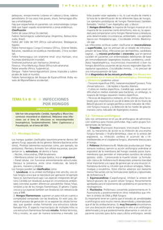 I n f e c c i o s a s y M i c r o b i o l o g í a
91] INFECCIONES POR HONGOS [
petequias, enrojecimiento cutáneo en cabeza y tórax, edema
periorbitario. En los casos más graves, shock, hemorragias difu-
sas y encefalopatía.
Hay que sospecharlas en pacientes con sintomatología compa-
tible que hayan viajado recientemente a zonas endémicas.
Clasificación
Fiebre de Lassa (Africa Occidental).
Fiebres hemorrágicas sudamericanas (Argentina, Bolivia,Vene-
zuela, Brasil).
Fiebre del Valle del Rift (África sub-sahariana, Madagascar,
Egipto).
Fiebre hemorrágica Congo-Crimeana (África, Oriente Medio,
Balcanes, repúblicas ex-soviéticas meridionales, China occiden-
tal).
Fiebre hemorrágica con síndrome renal: virus Hantaan, virus
Puumala (distribución mundial).
Síndrome pulmonar por Hantavirus (América).
Filovirus: Virus Marburg y Ebola (África sub-sahariana).
Fiebre amarilla (África, Sudamérica).
Dengue - fiebre hemorrágica/shock (zonas tropicales y subtro-
picales de todo el mundo).
Fiebres hemorrágicas del Bosque de Kysanur/Omsk (India -es-
tado de Mysore/Siberia occidental).
5.1.- Micología básica
Los hongos quedan clasificados taxonómicamente dentro del
género Fungi, separado de los géneros Monera (bacterias entre
otros), Protistas (elementos eucariotas como, por ejemplo, los
protozoos), Plantae y Animalia. Son células eucariotas, que pre-
sentan en su estructura, de dentro a fuera:
- Núcleo, mitocondrias, DNA bicatenario.
- Membrana celular con bicapa lipídica, rica en ergosterol.
- Pared celular, con funciones eminentemente estructurales.
Destaca la presencia, entre otras moléculas, de beta-D-
glucano, manano y celulosa.
Los hongos pueden ser clasificados como:
1. Levaduras: es la unidad morfológica más sencilla, una cé-
lula fúngica única que se reproduce por gemación (el ejemplo
típico es Saccharomyces spp.) Las especies integrantes del gé-
nero Candida son levaduras aunque en circunstancias ambien-
tales concretas pueden diferenciar pseudohifas (falsas hifas),
similares a las de los hongos filamentosos. El género Crypto-
coccus y sus especies también son levaduras con relevancia de
cara al MIR.
2. Hongos filamentosos: suponen un paso más en cuanto a
complejidad comparado con las levaduras. En este caso, du-
rante el proceso de gemación no se separan las células forma-
das, que quedan unidas formando una estructura tubular
llamada hifa. El aspecto macroscópico de múltiples hifas es
una estructura filamentosa llamada micelio. Ambos términos,
hifa y micelio, se usan de manera sinónima a menudo. Las
hifas pueden estar septadas o no, lo cual resulta de interés a
la hora de la identificación de los diferentes tipos de hongos.
Los ejemplos prototípicos de hongos filamentosos (también
llamados “mohos”) son Aspergillus spp. y Mucor.
3. Hongos dimórficos: la mayoría de hongos muestran en la
mayoría de las ocasiones cierto dimorfismo, esto es, la capaci-
dad para comportarse como hongos filamentosos o levaduras
ante determinadas circunstancias ambientales. Los ejemplos
típicos son Histoplasma spp., Coccidioides immitis, Blastomy-
ces spp.
Las infecciones sicóticas suelen clasificarse en mucocutáneas
o superficiales, que no precisan de un estado de inmunosu-
presión de base (tiñas, infecciones por dermatofitos, candidiasis
vaginal,…) y micosis profundas o viscerales, que en general
suceden en pacientes con enfermedades debilitantes de base
y/o inmunodepresión (aspergilosis invasiva, candidemia, candi-
diasis hepatoesplénica, mucormicosis rinocerebral) si bien los
hongos dimórficos causantes de las micosis regionales (tipo His-
toplasma capsulatum, Coccidioides immitis,…) no precisan de
una inmunosupresión de base.
En el diagnóstico de las micosis profundas (ver Micosis mu-
cocutáneas en el manual de Dermatología y Ginecología
y Obstetricia) podemos utilizar:
- Tinciones específicas (PAS, metenamina plata/P.jirovecii, Tinta
china/criptococo…) de tejidos o líquidos diversos.
- Cultivo en medios específicos. Candida spp. suele crecer sin
dificultad en medios estándar para bacterias; sin embargo, la
mayoría de hongos requieren medios específicos.
- Técnicas de diagnóstico indirecto: en los últimos años ha co-
brado gran importancia el uso de la detección de los títulos de
Beta-D-glucano en sangre periférica como indicador de infec-
ción fúngica invasora, y la detección de los niveles de galacto-
manano como indicador de Aspergilosis invasiva.
5.2.- Fármacos antifúngicos
Sólo nos centraremos en el uso de antifúngicos de administra-
ción sistémica para micosis profundas. Hay cuatro grupos fun-
damentales de fármacos:
1. Triazoles (Fluconazol, Itraconazol, Voriconazol, Posacona-
zol). Su mecanismo de acción es la inhibición de una enzima
fúngica llamada c-14-alfa-demetilasa, clave en la síntesis del
ergosterol; su inhibición conlleva el acúmulo de c-14-
metilesteroles en el citoplasma fúngico, altamente tóxicos para
el hongo.
2. Polienos (Anfotericina B). Moléculas producidas por Strep-
tomyces nodosus, ejercen su acción antifúngica uniéndose al
ergosterol de la membrana del hongo creando poros trans-
membrana que permiten el intercambio osmótico de solutos
(potasio, sodio…) provocando la muerte celular. La formula-
ción clásica de Anfotericina B deoxycolato presenta toxicidad
renal importante y es capaz de generar per se una situación in-
flamatoria durante su infusión que produce artralgias, fiebre,
mialgias y escalofríos. Estos efectos adversos son bastante
menos frecuentes con las formulaciones lipídicas y liposomales
de Anfotericina B.
3. Equinocandinas (Caspofungina). Inhiben la síntesis del
beta-D-glucano de la pared celular fúngica. Recientemente
aprobadas para el tratamiento de candidemia en pacientes no
neutropénicos.
4. Flucitosina. Profármaco convertido posteriormente en 5-
fluorouracilo y posteriormente en otros metabolitos que inhi-
ben la síntesis de DNA y RNA fúngico.
Es importante tener en cuenta que el estudio de sensibilidades
a antifúngicos está mucho menos desarrollado y estandarizado
que el de los antibacterianos. Es muy frecuente encontrarnos
con una disociación entre la respuesta in vitro a un antifúngico
determinado y la que posteriormente observamos in vivo en un
paciente concreto para dicha cepa y dicho antifúngico, siendo
TEMA 5 INFECCIONES
POR HONGOS
Sólo han sido preguntados Candida, Aspergillus y Mucor (mu-
cormicosis rinocerebral en diabéticos). Relacionar estas infec-
ciones con el tema de infecciones en inmunodeprimidos
(neutropénicos, fundamentalmente). Sobre Cryptococcus y
Pneumocystis, ver el tema del SIDA.
ENFOQUE MIR
 