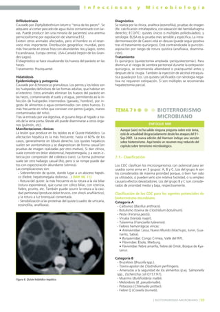 I n f e c c i o s a s y M i c r o b i o l o g í a
99] BIOTERRORISMO MICROBIANO [
Difilobotriasis
Causado por Diphyllobothrium latum o "tenia de los peces". Se
adquiere al comer pescado de agua dulce contaminado con lar-
vas. Puede producir (en una minoría de pacientes) una anemia
perniciosiforme por expoliación de vitamina B12.
Existen otros animales afectados, pero el hombre es el reser-
vorio más importante. Distribución geográfica: mundial, pero
más frecuente en zonas frías con abundantes ríos y lagos, como
Escandinavia, Europa central, USA-Canadá (región de los Gran-
des Lagos).
El diagnóstico se hace visualizando los huevos del parásito en las
heces.
Tratamiento: Praziquantel.
Hidatidosis
Epidemiología y patogenia
Causada por Echinococus granulosus. Los perros y los lobos son
los huéspedes definitivos de las formas adultas, que habitan en
el intestino. Estos animales eliminan los huevos del parásito en
las heces, contaminando el suelo y el agua, permitiendo así la in-
fección de huéspedes intermedios (ganado, hombre), por in-
gesta de alimentos o agua contaminados con estos huevos. Es
más frecuente en niños que conviven con perros (juegos, manos
contaminadas del niño).
Tras la entrada por vía digestiva, el gusano llega al hígado a tra-
vés de la vena porta. Desde allí puede diseminarse a otros órga-
nos (pulmón, etc).
Manifestaciones clínicas
La lesión que produce en los tejidos es el Quiste Hidatídico. La
afectación hepática es la más frecuente, hasta el 60% de los
casos, generalmente en lóbulo derecho. Los quistes hepáticos
suelen ser asintomáticos y se diagnostican de forma casual (en
pruebas de imagen realizadas por otro motivo). Si dan clínica,
suele consistir en dolor abdominal, hepatomegalia, y a veces ic-
tericia por compresión del colédoco (raro). La forma pulmonar
suele ser otro hallazgo casual (Rx), pero si se rompe puede dar
tos con expectoración abundante (vómica).
Las complicaciones son:
- Sobreinfección de quiste, dando lugar a un absceso hepáti-
co (fiebre, hepatomegalia dolorosa…) (MIR 98, 11).
- Rotura del quiste: la más frecuente es la rotura a la vía biliar
(rotura espontánea), que cursa con cólico biliar, con ictericia,
fiebre, prurito, etc. También puede ocurrir la rotura a la cavi-
dad peritoneal (produce dolor brusco, con shock anafiláctico),
y la rotura a luz bronquial comentada.
- Sensibilización a las proteínas del quiste (cuadro de urticaria,
eosinofilia, anafilaxia).
Diagnóstico
Se realiza por la clínica, analítica (eosinofilia), pruebas de imagen
(Rx: calcificación intrahepática, con elevación del hemidiafragma
derecho; ECO/TC: quistes únicos o múltiples polilobulados), y
serología: ELISA es la prueba más sensible y específica. La intra-
dermorreacción de Casoni está en desuso (puede seguir positiva
tras el tratamiento quirúrgico). Está contraindicada la punción-
aspiración por riesgo de rotura quística (anafilaxia, disemina-
ción).
Tratamiento
Es quirúrgico (quistectomía ampliada -periquistectomía-). Para
disminuir el riesgo de siembra peritoneal durante la extirpación
quirúrgica, se recomienda albendazol o praziquantel antes y
después de la cirugía. También la inyección de alcohol intraquís-
tica guiada por Eco. Los quistes calcificados con serología nega-
tiva no requieren extirpación. Si son múltiples se recomienda
hepatectomía parcial.
7.1.- Clasificación
Los CDC clasifican los microorganismos con potencial para ser
usados como arma en 3 grupos: A, B y C. Los del grupo A son
los considerados de máxima prioridad porque, o bien han sido
ya utilizados, o pueden serlo con relativa facilidad, o su empleo
causaría efectos devastadores. Los del grupo B y C son conside-
rados de prioridad media y baja, respectivamente.
Clasificación de los CDC para los agentes potenciales de
bioterrorismo microbiano
Categoría A
- Carbunco (Bacillus anthracis).
- Botulismo (toxina de Clostridium botulinum).
- Peste (Yersinia pestis).
- Viruela (Variola major).
- Tularemia (Francisella tularensis).
- Fiebres hemorrágicas víricas:
• Arenaviridae: Lassa, Nuevo Mundo (Machupo, Junin, Gua-
narito, Sabia).
• Bunyaviridae: Congo Crimea, Valle del Rift.
• Filoviridae: Ébola, Marburg.
• Flaviviridae: fiebre amarilla, fiebre de Omsk, Bosque de Kya-
sanur.
Categoría B
- Brucelosis (Brucella spp.).
- Toxina epsilon de Clostridium perfringens.
- Amenazas a la seguridad de los alimentos (p.ej. Salmonella
spp., Escherichia coli O157:H7).
- Muermo (Burkholderia mallei).
- Melioidosis (B. pseudomallei).
- Psitacosis (Chlamydia psittaci).
- Fiebre Q (Coxiella burnetii).
TEMA 7 BIOTERRORISMO
MICROBIANO
Aunque (aún) no ha salido ninguna pregunta sobre este tema,
está de actualidad desgraciadamente desde los ataques del 11-
Sep-2001. La nueva edición del Harrison incluye una sección
sobre bioterrorismo. Aquí tenéis un resumen muy reducido del
capítulo sobre terrorismo microbiológico.
ENFOQUE MIR
Figura 6. Quiste hidatídico hepático.
 