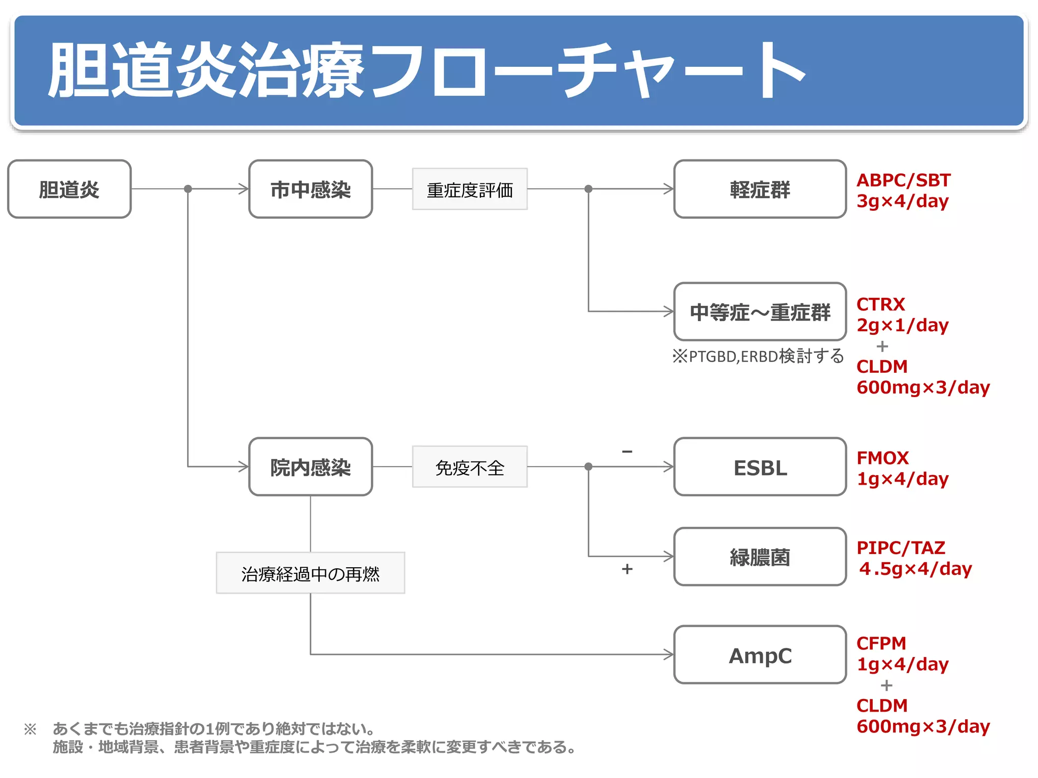 胆道炎治療フローチャート
胆道炎
院内感染 ESBL
緑膿菌
市中感染 軽症群重症度評価
中等症～重症群
ABPC/SBT
3g×4/day
FMOX
1g×4/day
PIPC/TAZ
４.5g×4/day
※ あくまでも治療指針の1例であり絶対ではない。
施設・地域背景、患者背景や重症度によって治療を柔軟に変更すべきである。
CTRX
2g×1/day
＋
CLDM
600mg×3/day
※PTGBD,ERBD検討する
免疫不全
＋
－
治療経過中の再燃
AmpC
CFPM
1g×4/day
+
CLDM
600mg×3/day
 