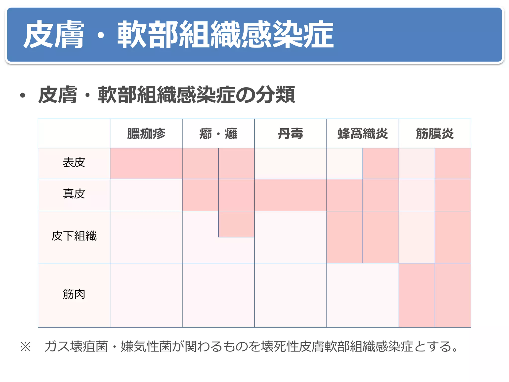皮膚・軟部組織感染症
• 皮膚・軟部組織感染症の分類
※ ガス壊疽菌・嫌気性菌が関わるものを壊死性皮膚軟部組織感染症とする。
膿痂疹 癤・癰 丹毒 蜂窩織炎 筋膜炎
表皮
真皮
皮下組織
筋肉
 