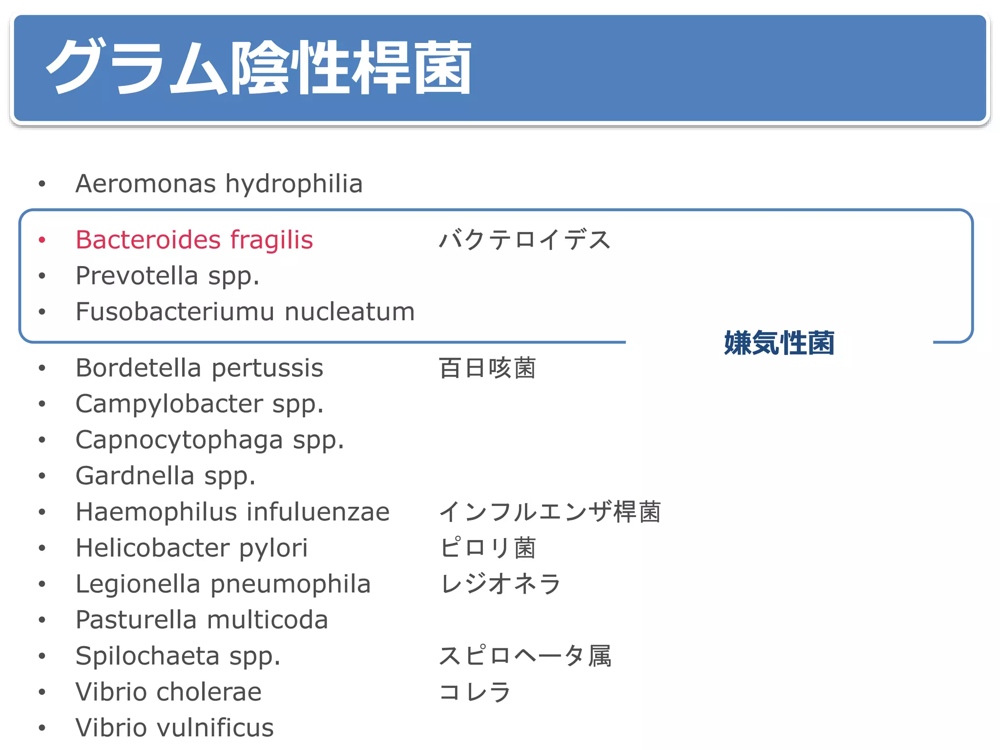 グラム陰性桿菌
• Aeromonas hydrophilia
• Bacteroides fragilis バクテロイデス
• Prevotella spp.
• Fusobacteriumu nucleatum
• Bordetella pertussis 百日咳菌
• Campylobacter spp.
• Capnocytophaga spp.
• Gardnella spp.
• Haemophilus infuluenzae インフルエンザ桿菌
• Helicobacter pylori ピロリ菌
• Legionella pneumophila レジオネラ
• Pasturella multicoda
• Spilochaeta spp. スピロヘータ属
• Vibrio cholerae コレラ
• Vibrio vulnificus
嫌気性菌
 