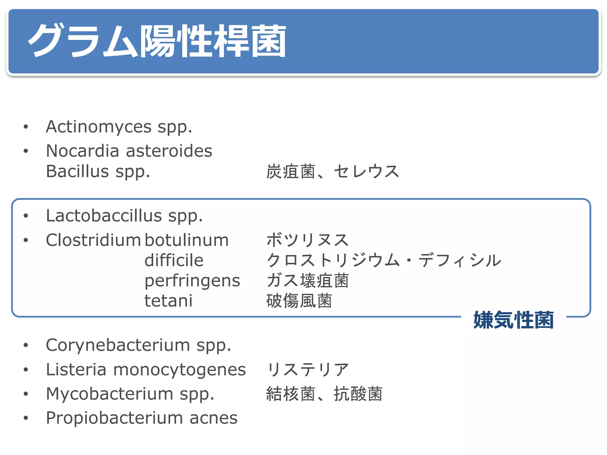 グラム陽性桿菌
• Actinomyces spp.
• Nocardia asteroides
Bacillus spp. 炭疽菌、セレウス
• Lactobaccillus spp.
• Clostridium botulinum ボツリヌス
difficile クロストリジウム・デフィシル
perfringens ガス壊疽菌
tetani 破傷風菌
• Corynebacterium spp.
• Listeria monocytogenes リステリア
• Mycobacterium spp. 結核菌、抗酸菌
• Propiobacterium acnes
嫌気性菌
 