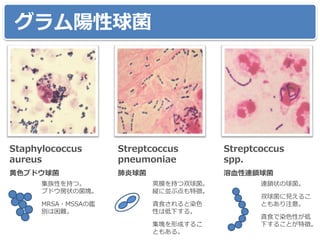 Infecdatabook | PPTX