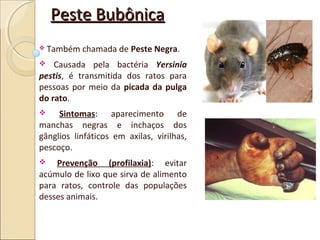 Peste BubônicaPeste Bubônica
 Também chamada de Peste Negra.
 Causada pela bactéria Yersinia
pestis, é transmitida dos ratos para
pessoas por meio da picada da pulga
do rato.
 Sintomas: aparecimento de
manchas negras e inchaços dos
gânglios linfáticos em axilas, virilhas,
pescoço.
 Prevenção (profilaxia): evitar
acúmulo de lixo que sirva de alimento
para ratos, controle das populações
desses animais.
 