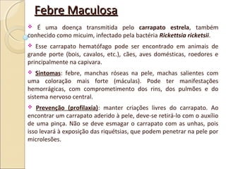 Febre MaculosaFebre Maculosa
 É uma doença transmitida pelo carrapato estrela, também
conhecido como micuim, infectado pela bactéria Rickettsia ricketsii.
 Esse carrapato hematófago pode ser encontrado em animais de
grande porte (bois, cavalos, etc.), cães, aves domésticas, roedores e
principalmente na capivara.
 Sintomas: febre, manchas róseas na pele, machas salientes com
uma coloração mais forte (máculas). Pode ter manifestações
hemorrágicas, com comprometimento dos rins, dos pulmões e do
sistema nervoso central.
 Prevenção (profilaxia): manter criações livres do carrapato. Ao
encontrar um carrapato aderido à pele, deve-se retirá-lo com o auxílio
de uma pinça. Não se deve esmagar o carrapato com as unhas, pois
isso levará à exposição das riquétsias, que podem penetrar na pele por
microlesões.
 