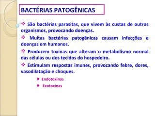 BACTÉRIAS PATOGÊNICAS
 São bactérias parasitas, que vivem às custas de outros
organismos, provocando doenças.
 Muitas bactérias patogênicas causam infecções e
doenças em humanos.
 Produzem toxinas que alteram o metabolismo normal
das células ou dos tecidos do hospedeiro.
 Estimulam respostas imunes, provocando febre, dores,
vasodilatação e choques.
 Endotoxinas
 Exotoxinas
 
