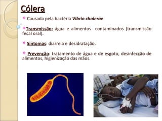 CóleraCólera
 Causada pela bactéria Vibrio cholerae.
Transmissão: água e alimentos contaminados (transmissão
fecal oral).
 Sintomas: diarreia e desidratação.
 Prevenção: tratamento de água e de esgoto, desinfecção de
alimentos, higienização das mãos.
 