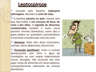 LeptospiroseLeptospirose
 Causada pela bactéria Leptospira
interrogans, liberada na urina de ratos.
 A bactéria penetra na pele, mesmo sem
que haja lesões e nas mucosas da boca, do
nariz e dos olhos. A ingestão de alimentos
contaminados também é outra causa
possível. Animais domésticos, como cães e
gatos podem ser portadores assintomáticos
e transmitir a bactéria por meio da urina.
 Sintomas: febre alta, dores musculares,
cansaço, dores abdominais, diarreia etc.
 Prevenção (profilaxia): evitar o contato
desnecessário com lama e água de
inundações ou usar roupas impermeáveis
nessas situações, não acumular lixo nem
jogar restos de alimentos em locais públicos,
acompanhamento veterinário de animais
domésticos.
 