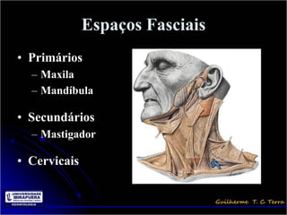 Espaços Fasciais
• Primários
  – Maxila
  – Mandíbula

• Secundários
  – Mastigador

• Cervicais
 