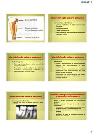 08/06/2014
2
Vias de infecção pulpar e periapical
 Via exposição pulpar direta:
 Lesões profundas de cárie (causa mais
frequente)
 fraturas coronárias
 Causas iatrogênicas
 Perda física da estrutura dentária havendo
exposição pulpar
Via de infecção pulpar e periapical
 Via hematogênica:
 Micro-organismos atingem a polpa por meio da
corrente circulatória;
 Observa-se em dentes íntegros que sofreram
traumatismo, movimentação ortodôntica ou
outras alterações do tecido pulpar
Via de infecção pulpar e periapical
 Via linfática:
 Durante o desenvolvimento de doença periodontal
(presença dos micro-organismos e seus
metabólicos)
 Dentes íntegros (acidentalmente luxados):
contaminação com micro-organismos do sulco
gengival ou bolsa periodontal
 Disseminação de micro-organismos das bolsas
periodontais (manobras odontológicas - ex:
curetagem gengival)
Via de infecção pulpar e periapical
 Por contiguidade (Extensão):
 Infecção pode evoluir no mesmo dente ou a dentes
próximos
Fatores ecológicos que determinam
a microbiota endodôntica
 Polpa e tecidos periapicais são normalmente
estéreis;
 Porém, quando há presença de micro-
organismos....
 Canal radicular é infectado: a quantidade de bactérias que
tem acesso limita-se a 15-30 espécies bacterianas;
 Tensão de oxigênio (condições anaeróbias);
 Nutrientes
 pH do ambiente
 Mecanismos de defesa do hospedeiro (dificuldade de
alcançar canal radicular)
 