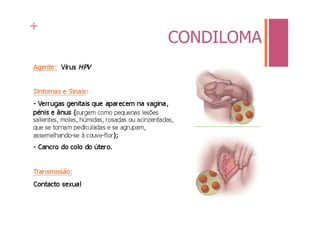 +
    CONDILOMA
 