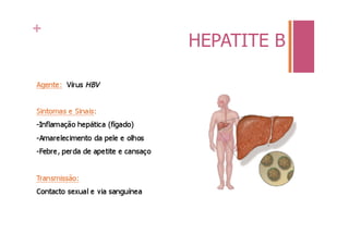 +
    HEPATITE B
 